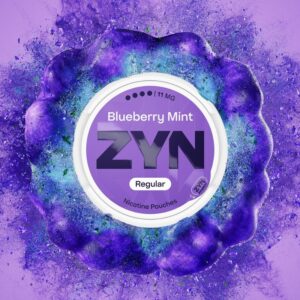 ZYN Regular - 11mg - Blueberry Mint