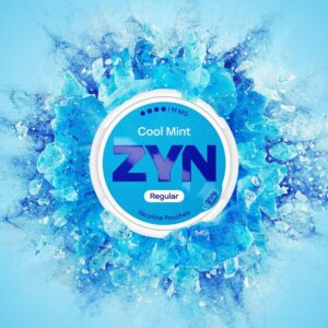 ZYN Regular - 11mg - Cool Mint